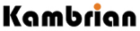 Kambrian Corporation